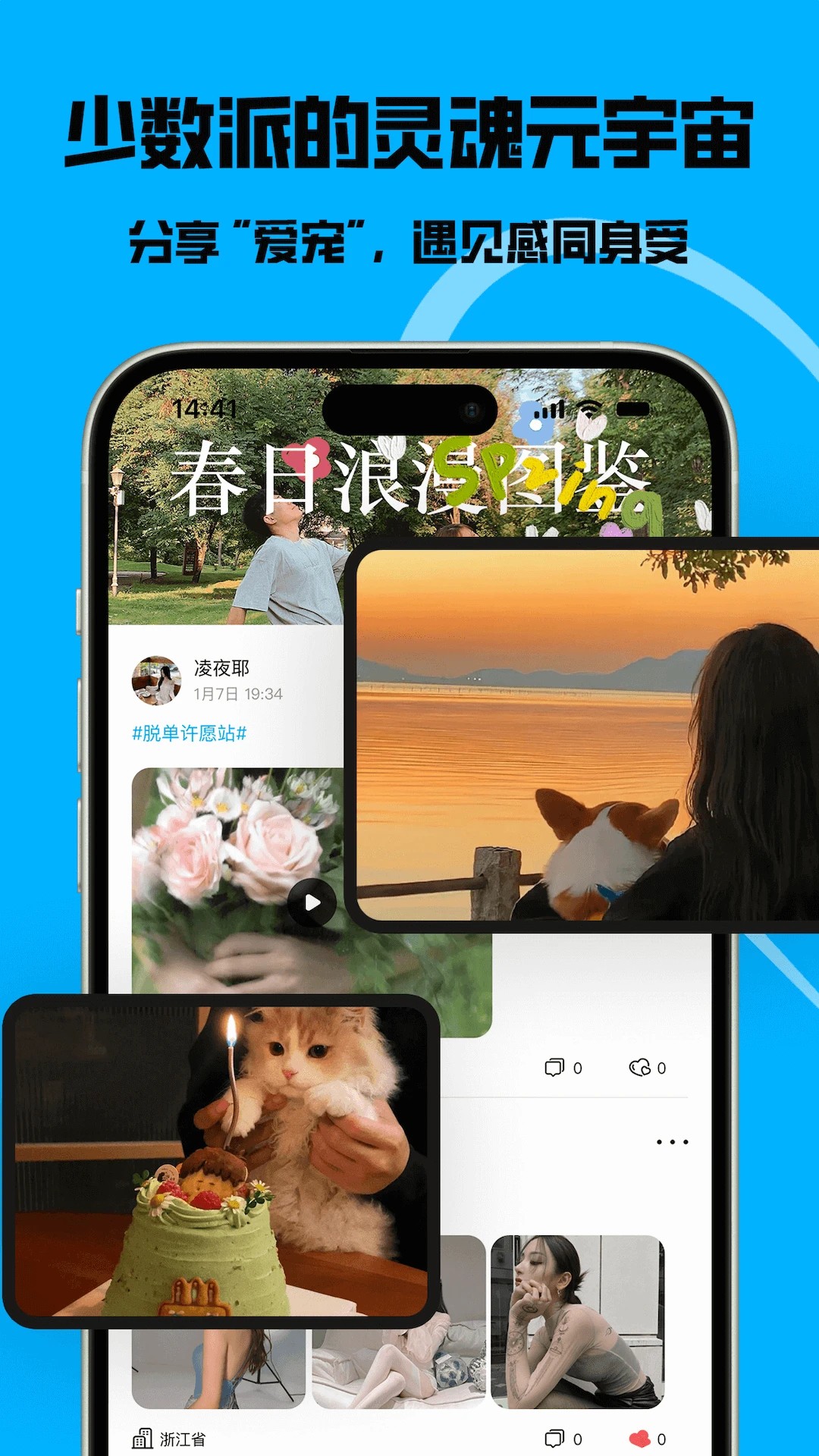猫匿