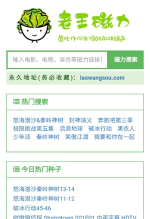 老王磁力